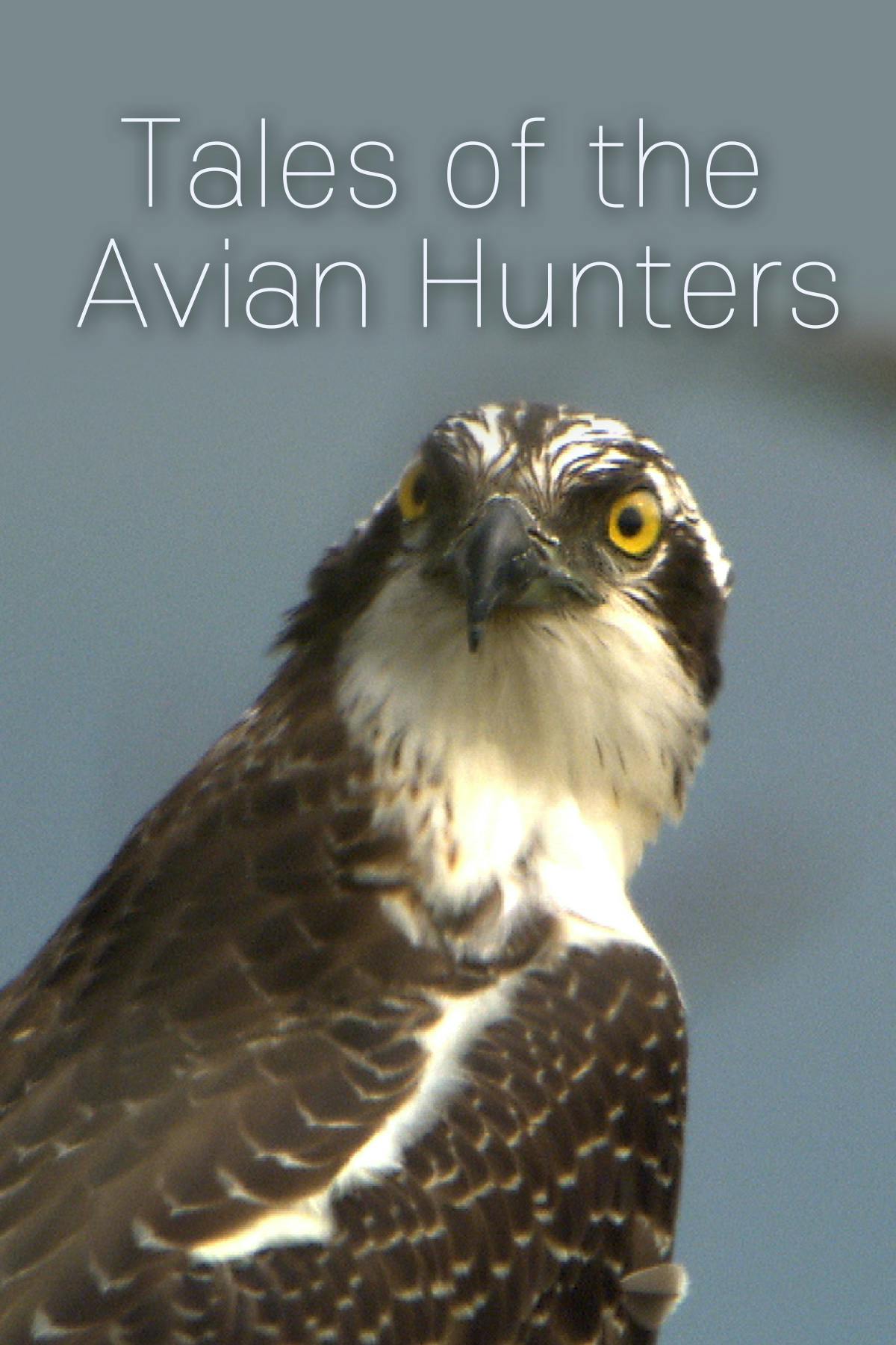 Tales of the Avian Hunters