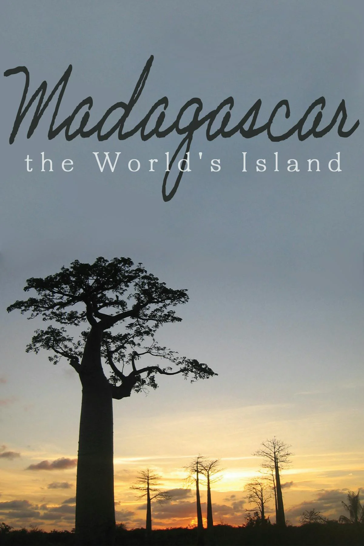 Madagascar, the World's Island