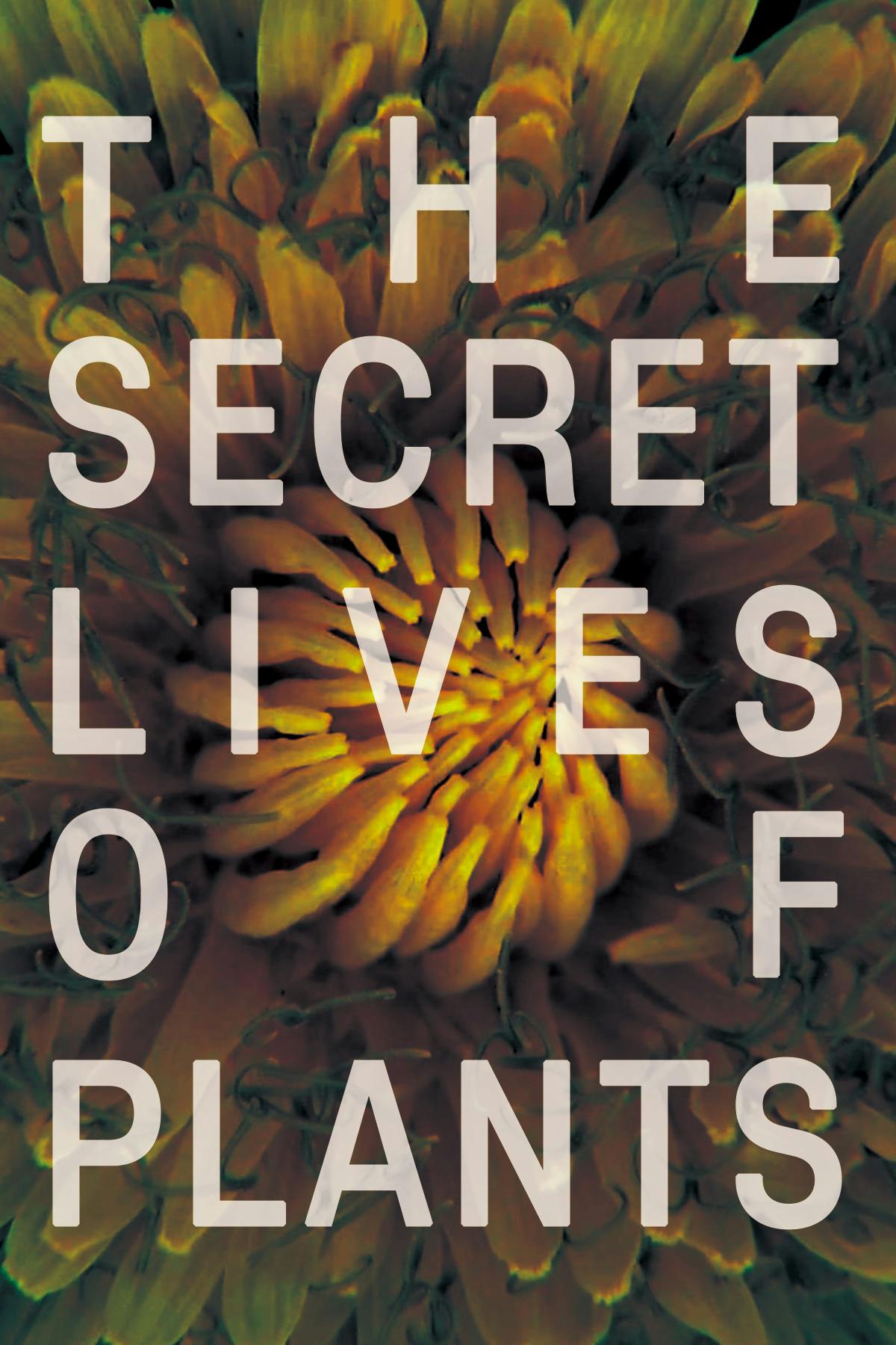 The Secret Lives of Plants