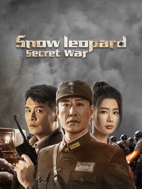 雪豹之暗战天机