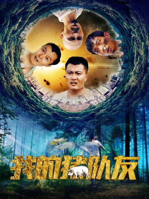 我的猪队友