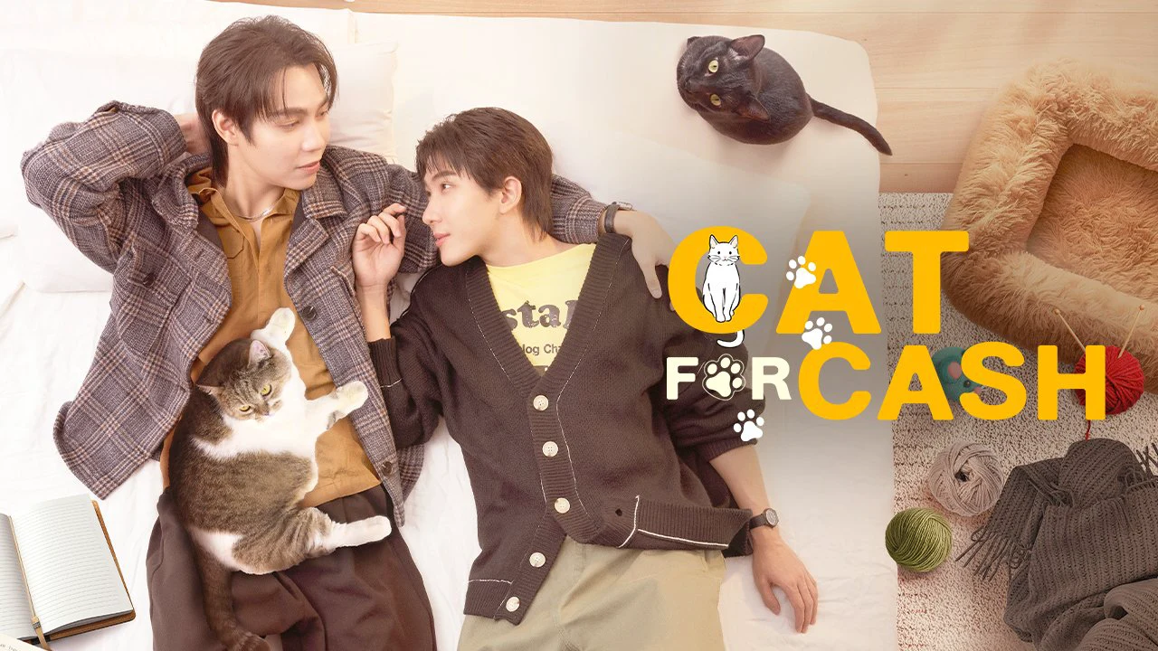 Cat for Cash