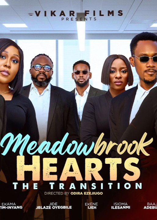 Meadowbrook Hearts: The Transition