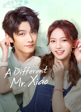 A Different Mr. Xiao