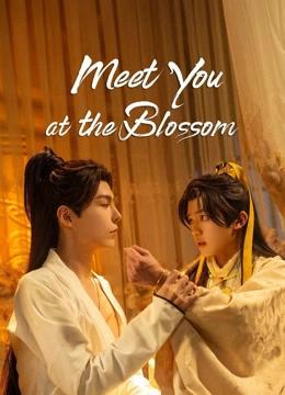 Meet You at the Blossom