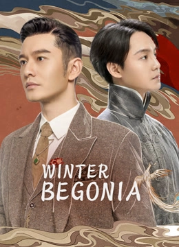Winter Begonia