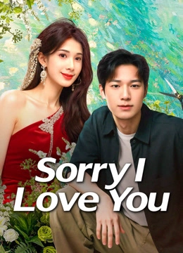 Sorry I Love You