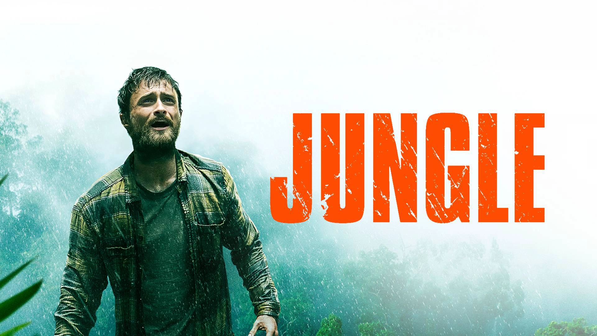 Jungle