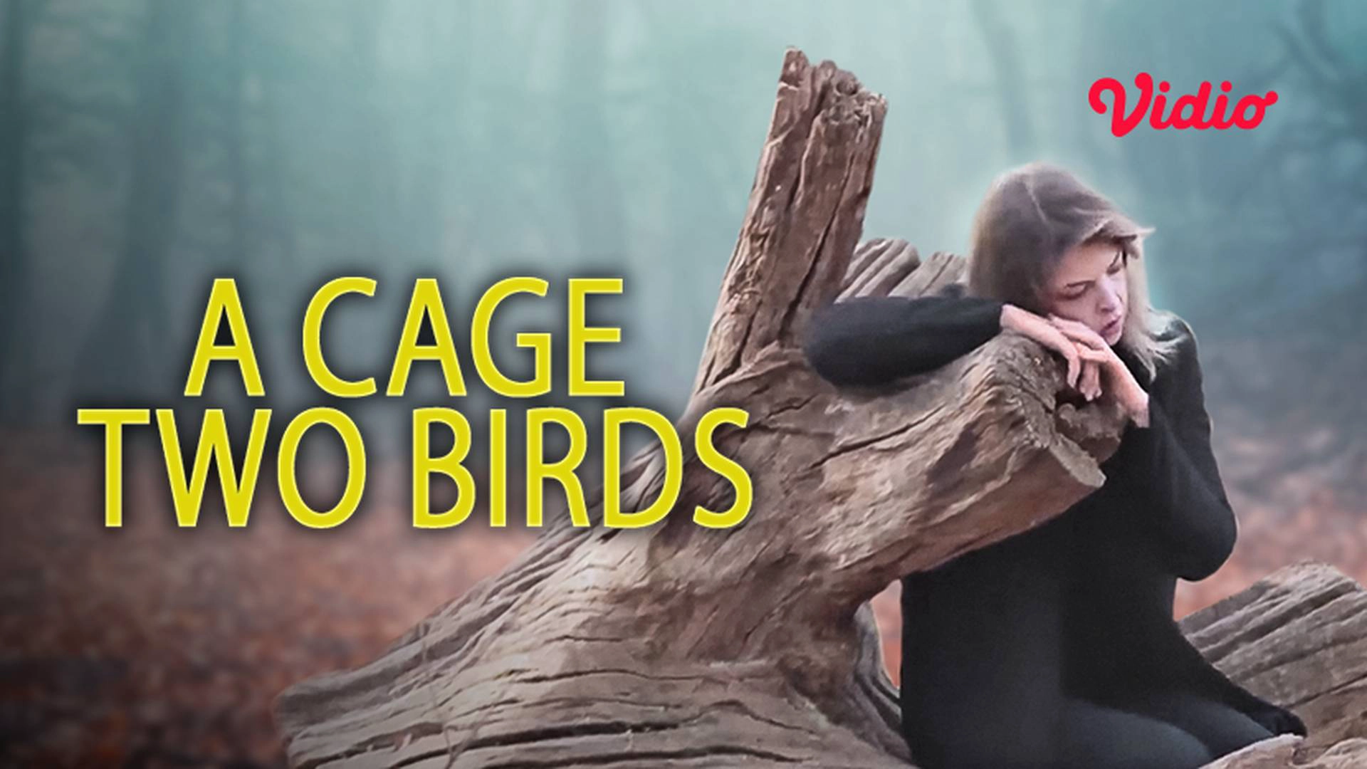 A Cage Two Bird