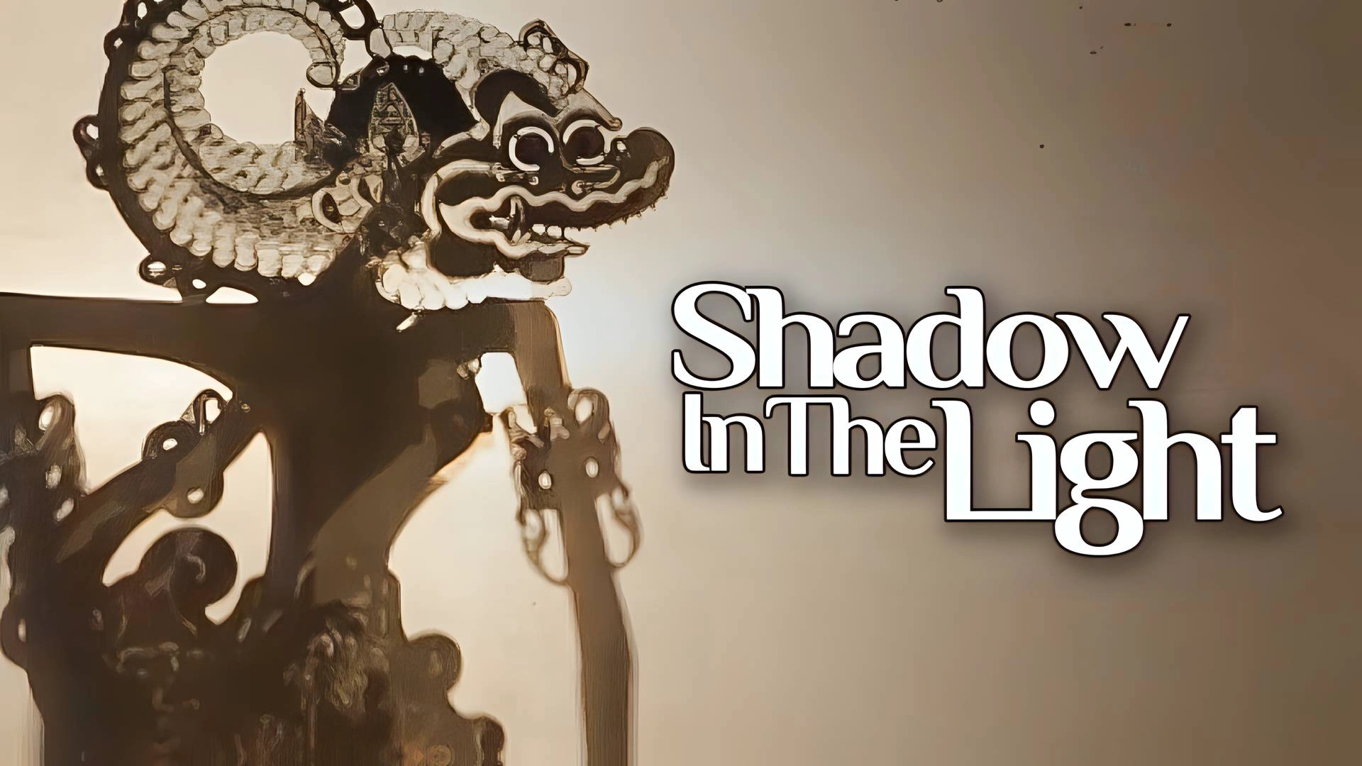 Shadow In The Light