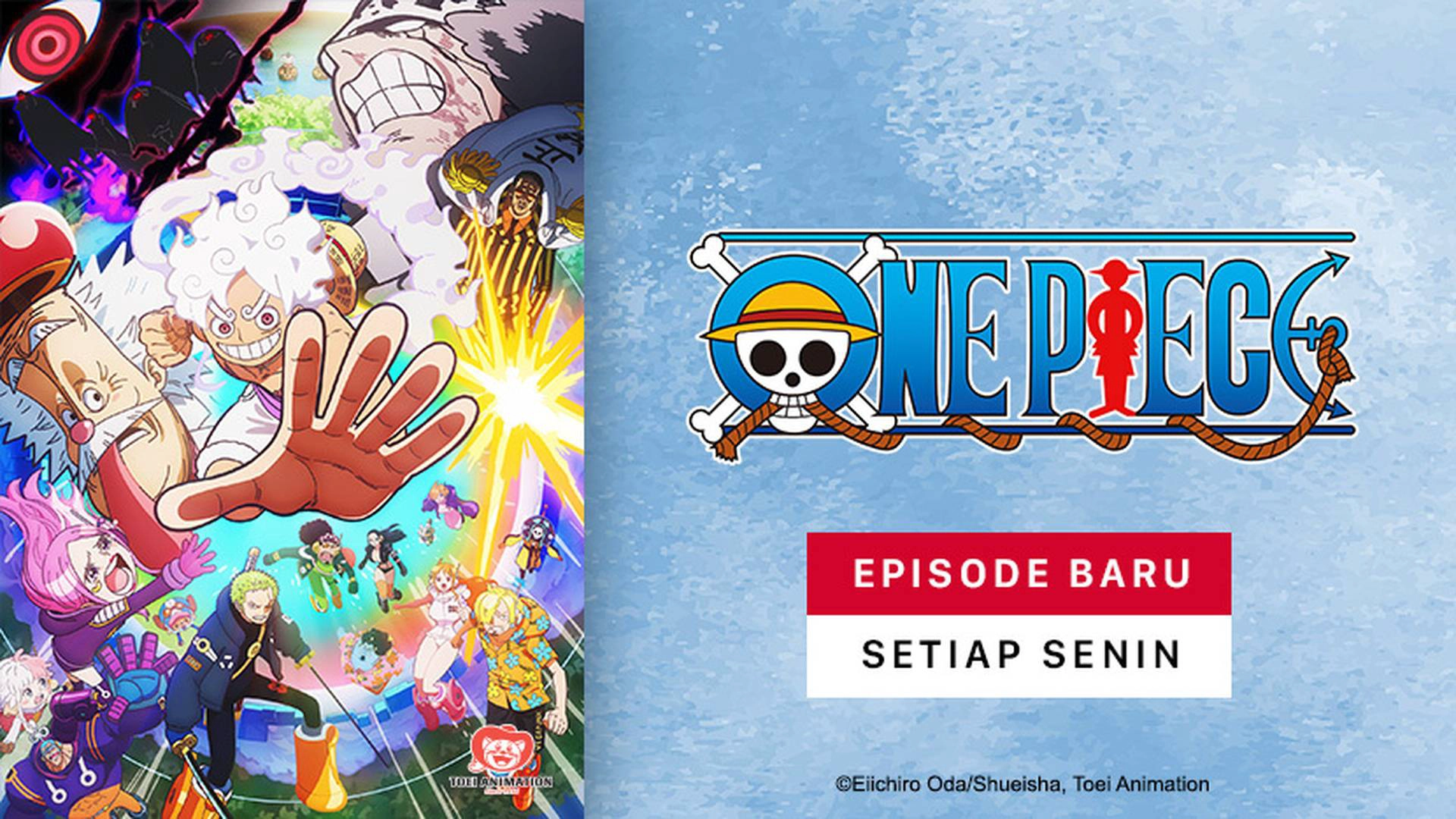 One Piece Musim ke 23