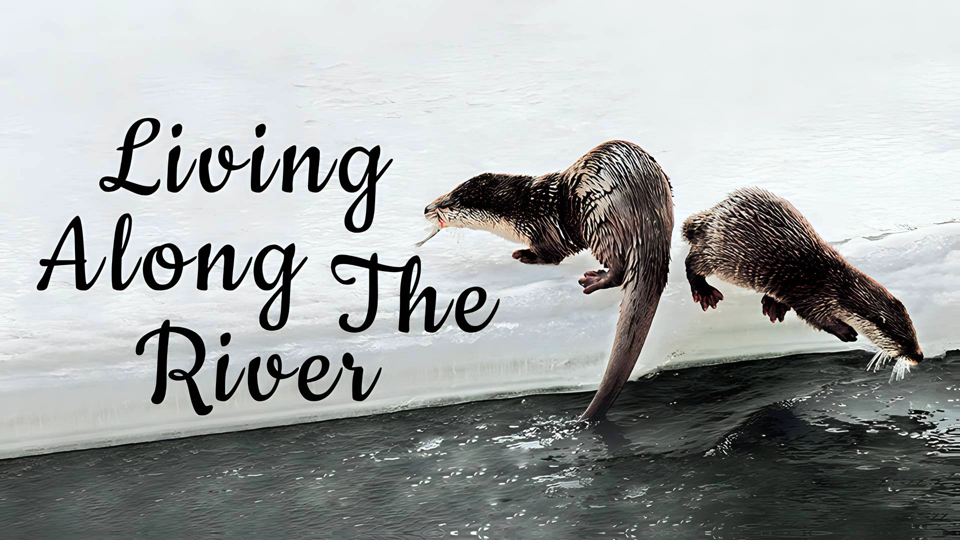 Living along the River
