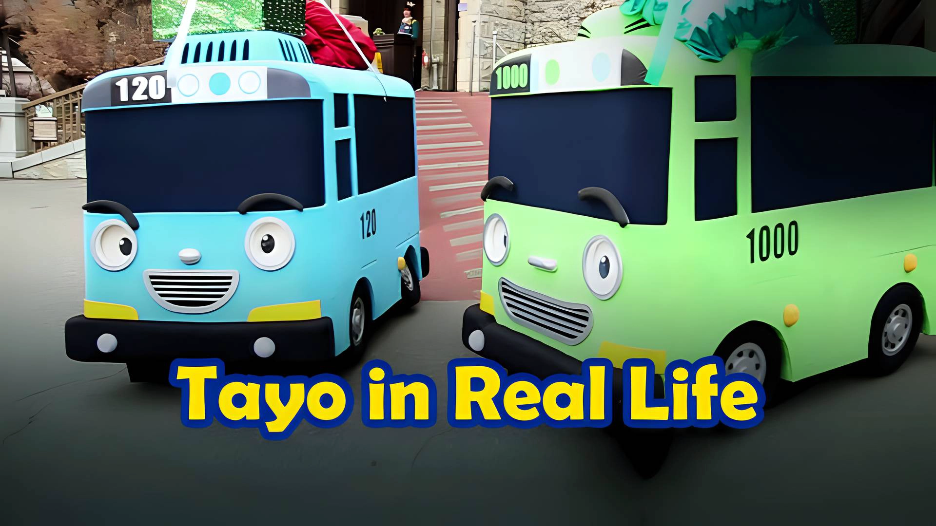 Tayo in Real Life