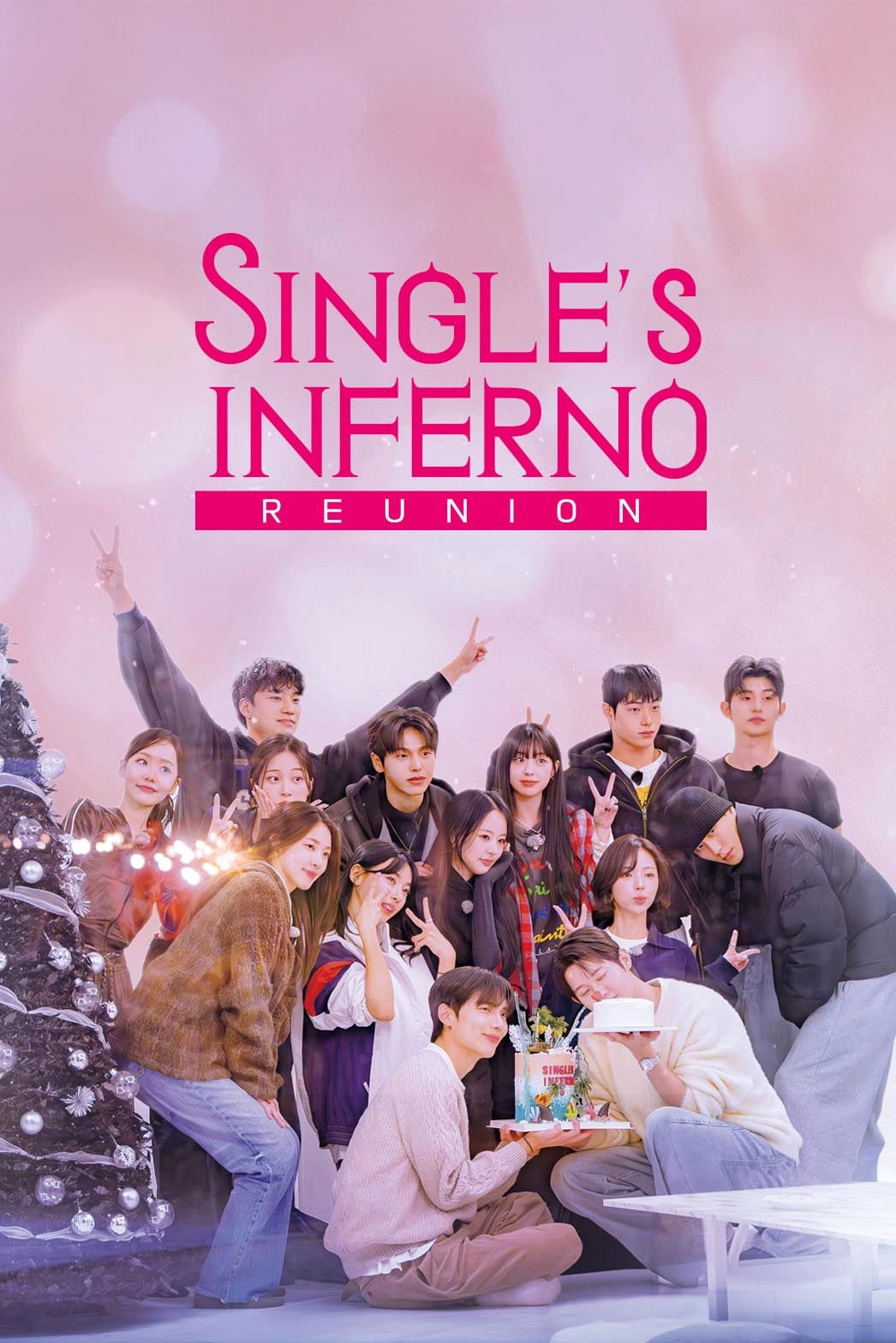 Single's Inferno Reunion Limited Series
