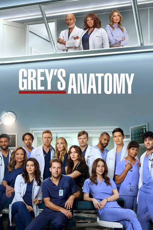 Grey's Anatomy S22