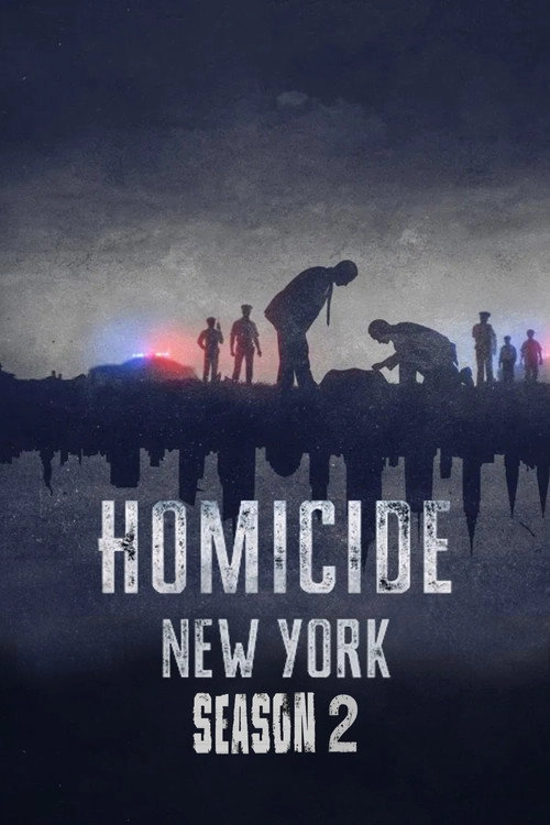 Homicide New York: Season 2