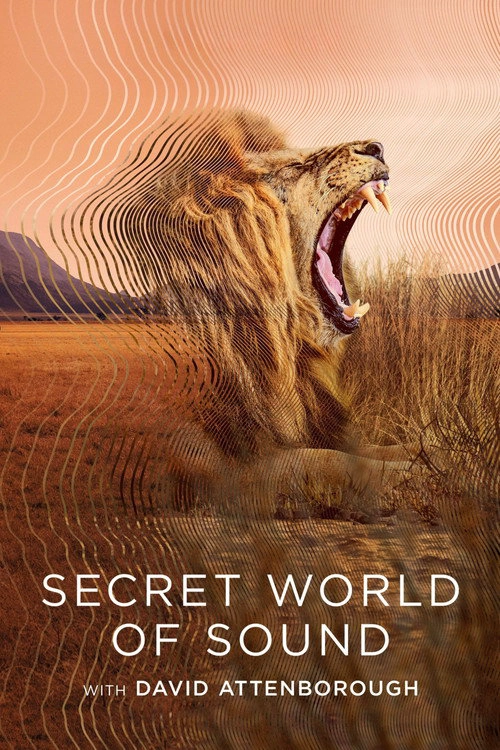 Secret World of Sound Miniseries