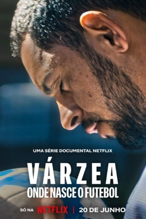 The Root of the Game S1