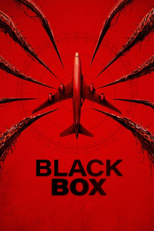 Black Box (Flight 298)
