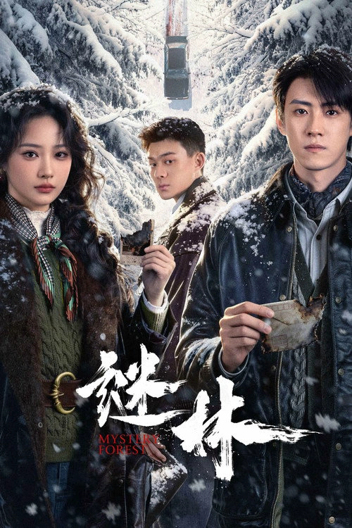 谜林 S1