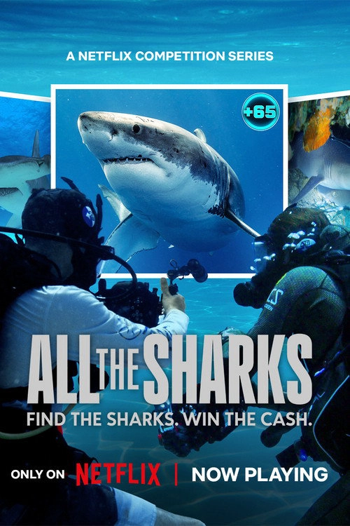 All the Sharks S1