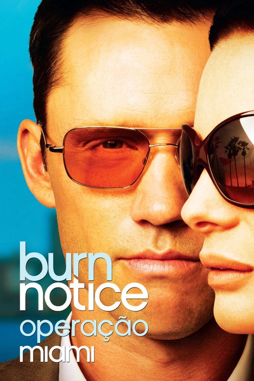 Burn Notice S3