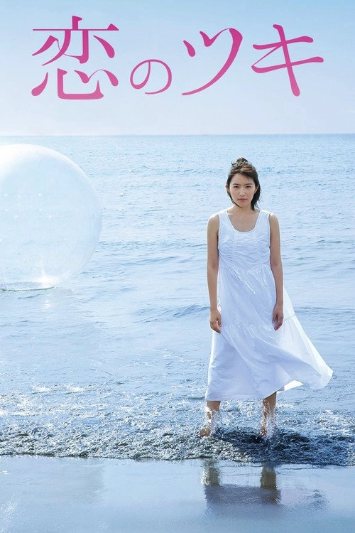 Love and Fortune S1