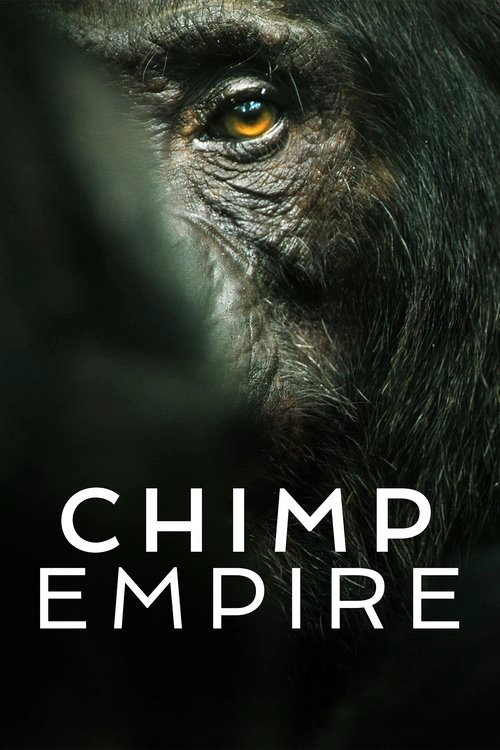 Chimp Empire Limited Series