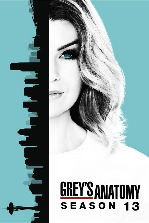 Grey's Anatomy S13
