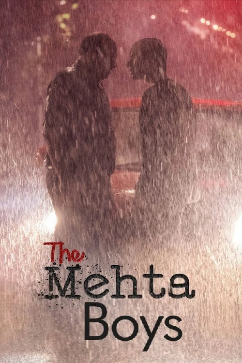 The Mehta Boys