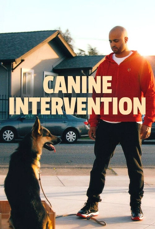 Canine Intervention S1