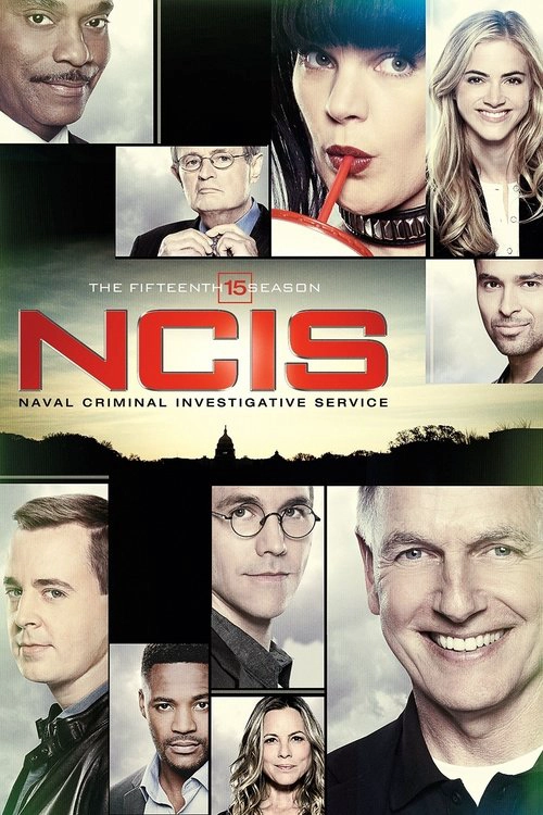 NCIS S15