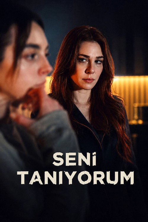 Not a Stranger S1
