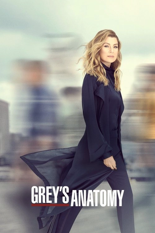 Grey's Anatomy S16
