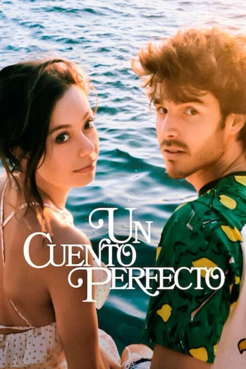 A Perfect Story Limited Series