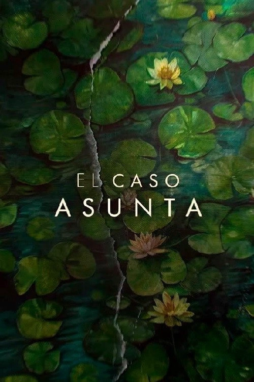 The Asunta Case Limited Series