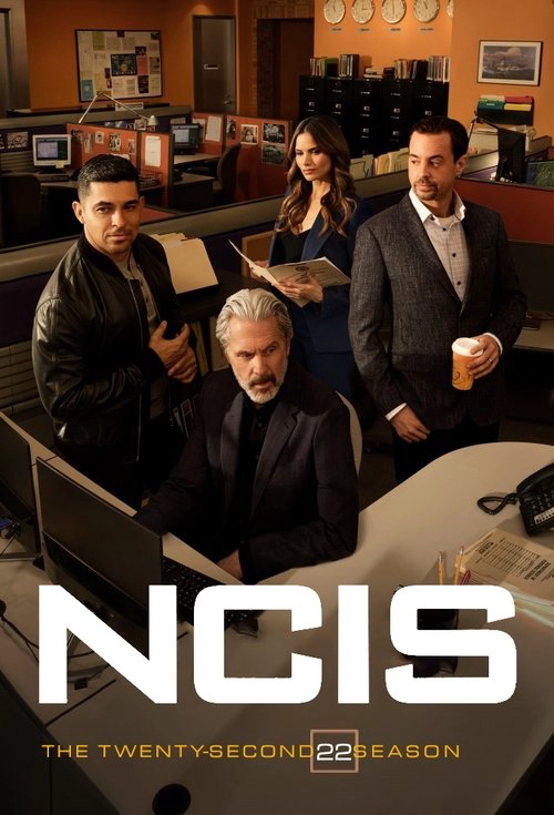 NCIS S22