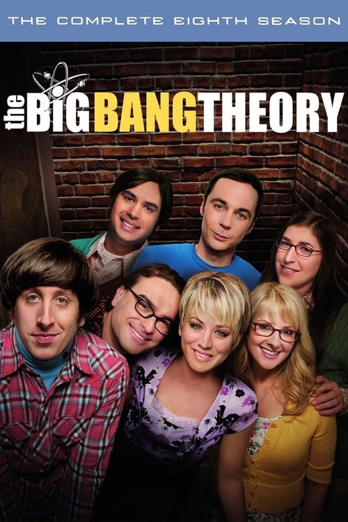 The Big Bang Theory S8