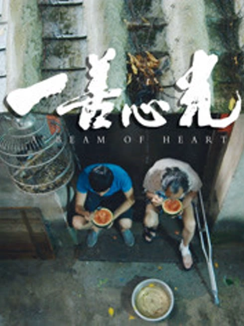一善心光