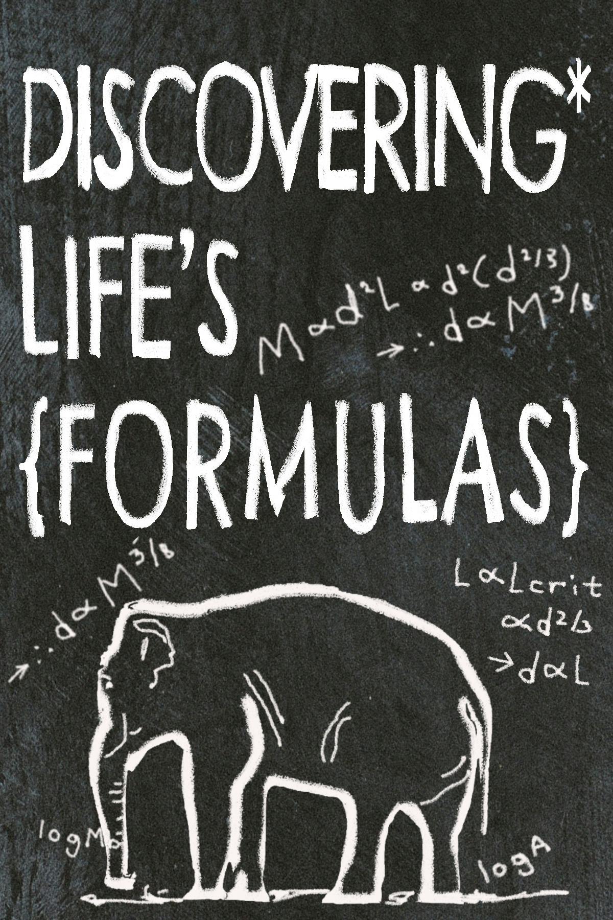 Discovering Life's Formulas