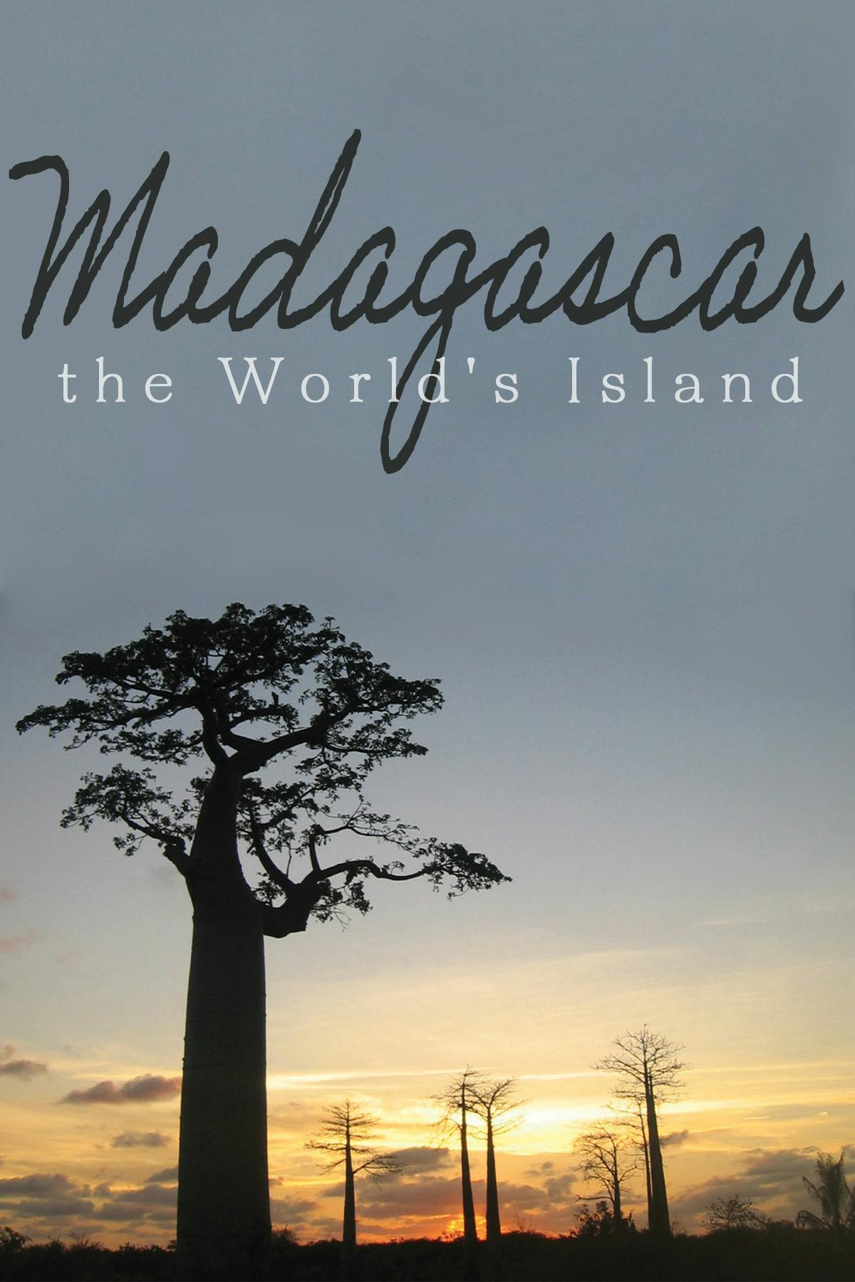 Madagascar, the World's Island