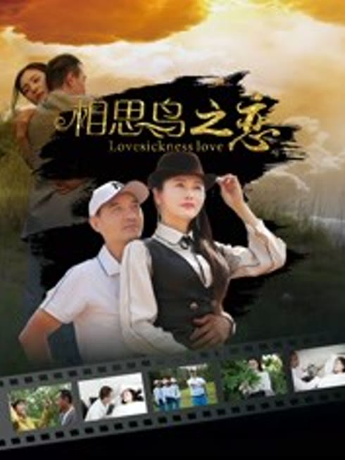 相思鸟之恋