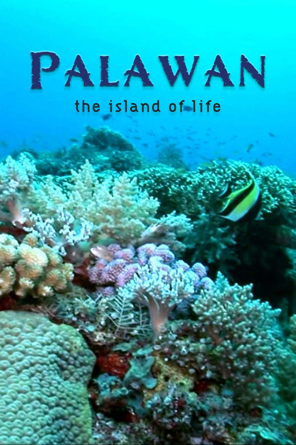 Palawan, the island of life