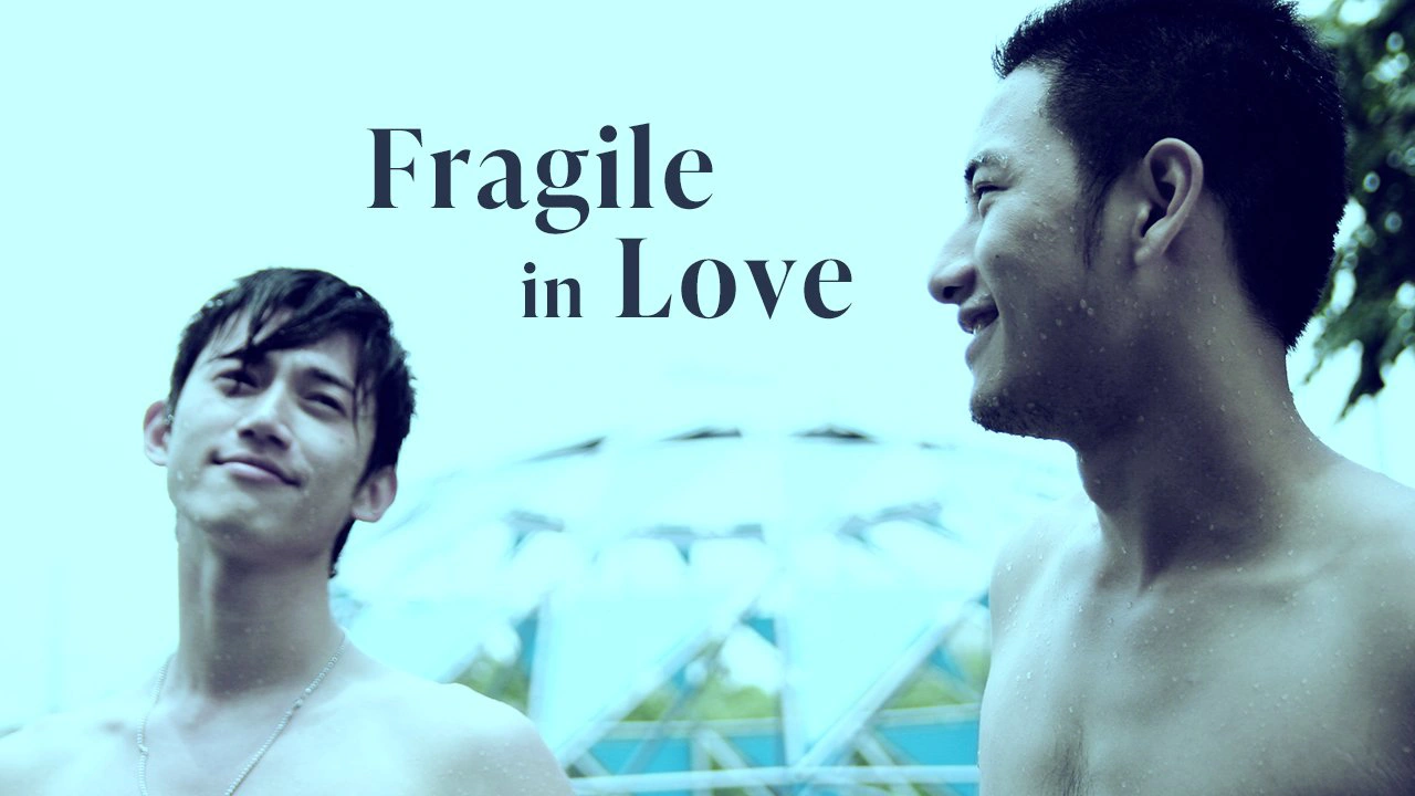Fragile in Love