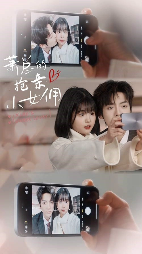 萧总的抢亲小女佣