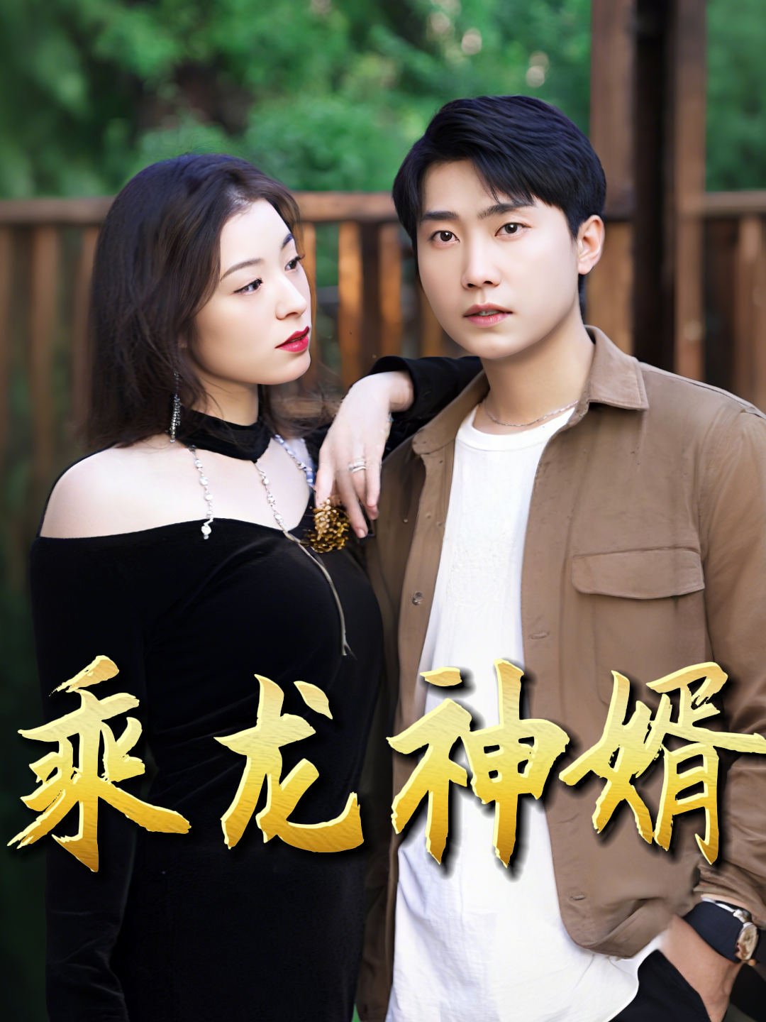 乘龙神婿
