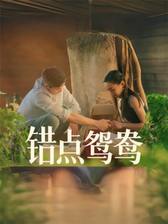 错点鸳鸯