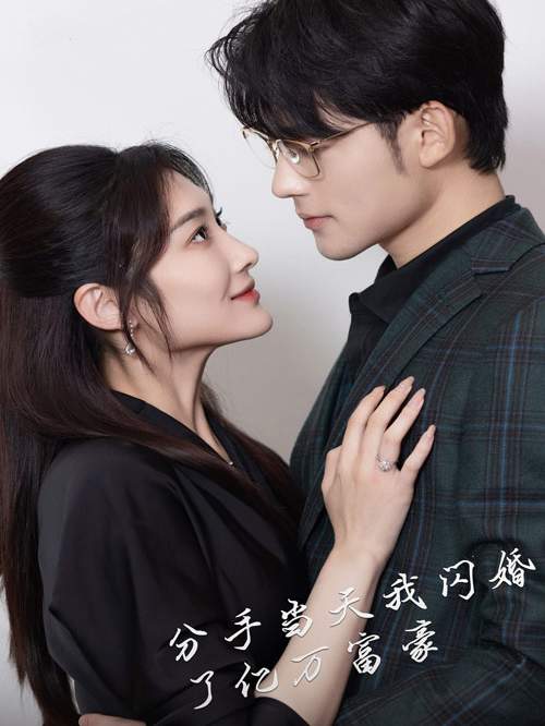 分手当天，我闪婚了亿万富豪