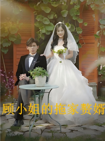 顾小姐的拖家赘婿