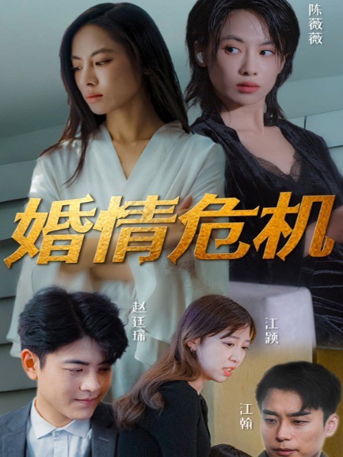 婚情危机